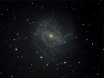 M83, otro ejemplo de galaxia que -no- se ve mejor que con la SBIG. Pero si buscan el animal de la semana(tm) original...