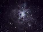 NGC2070, la tarántula